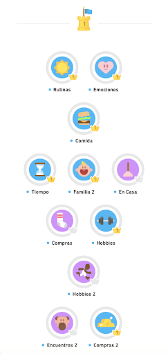 Cómo está estructurado Duolingo